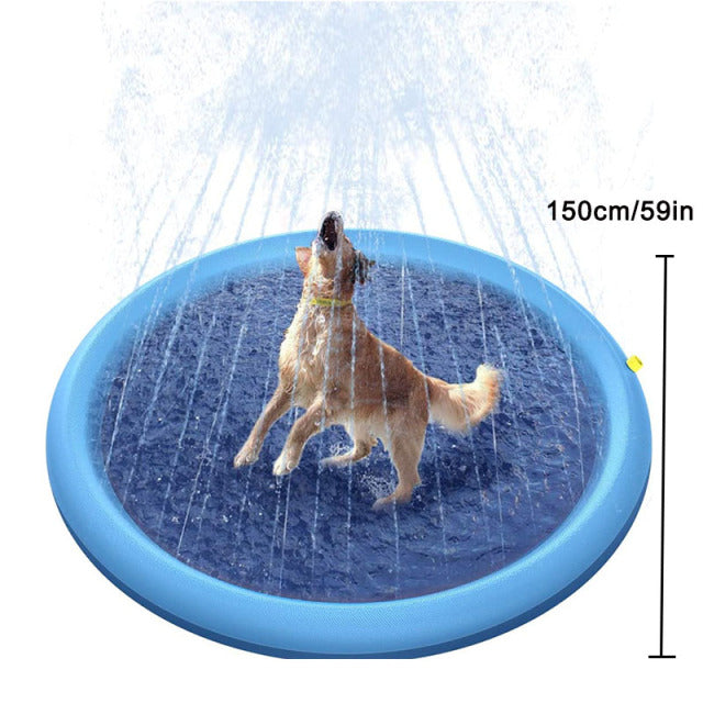 Dog Sprinkler Pool